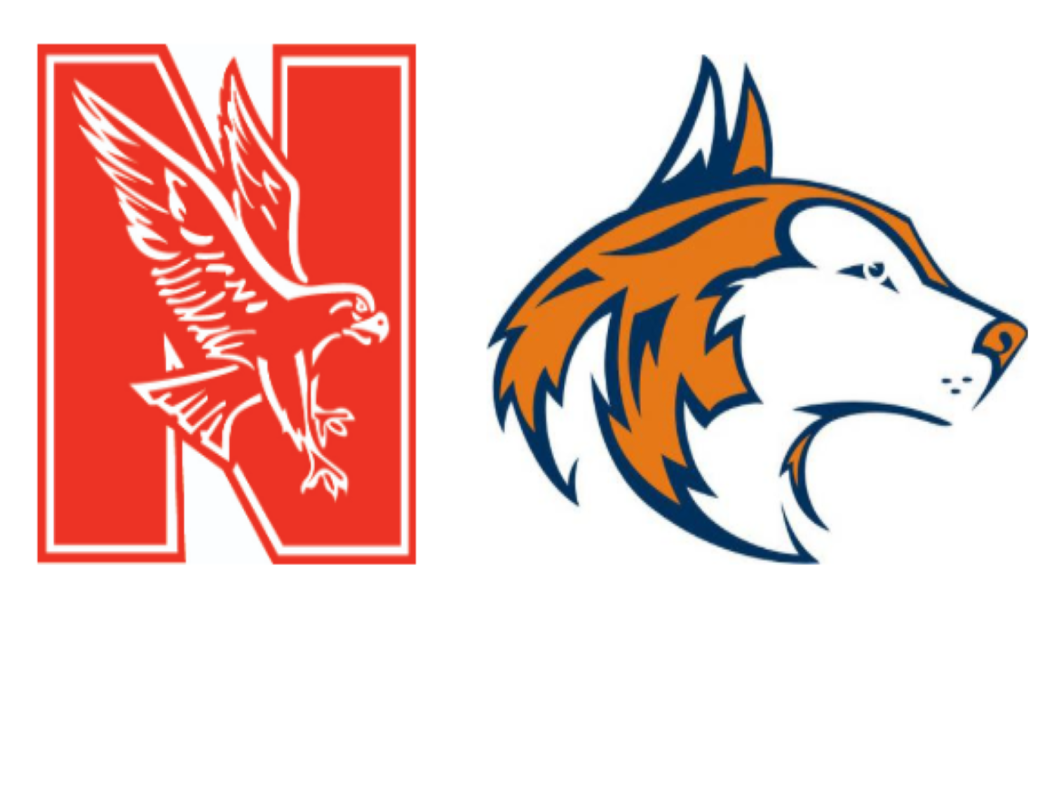 naperville-community-unit-school-district-203-homepage